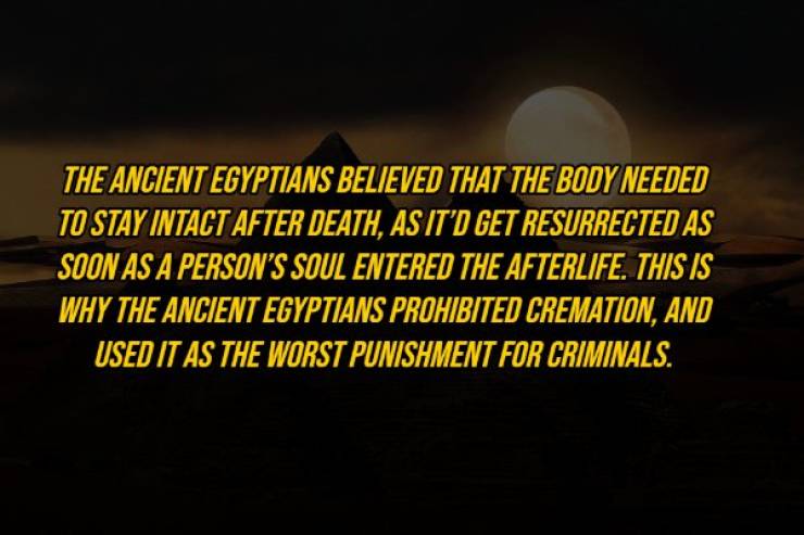 Fascinating Facts About Ancient Egypt