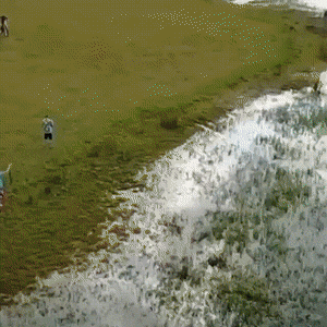 Morning Gifdump Morning Gifdump