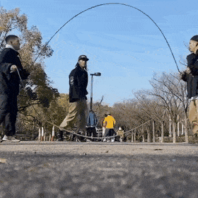 Morning Gifdump Morning Gifdump