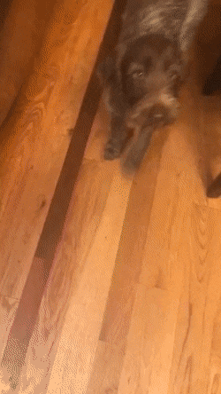 Morning Gifdump Morning Gifdump