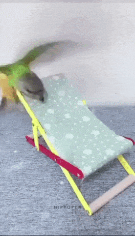 Morning Gifdump Morning Gifdump