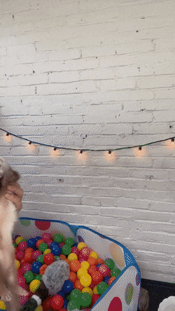 Morning Gifdump Morning Gifdump