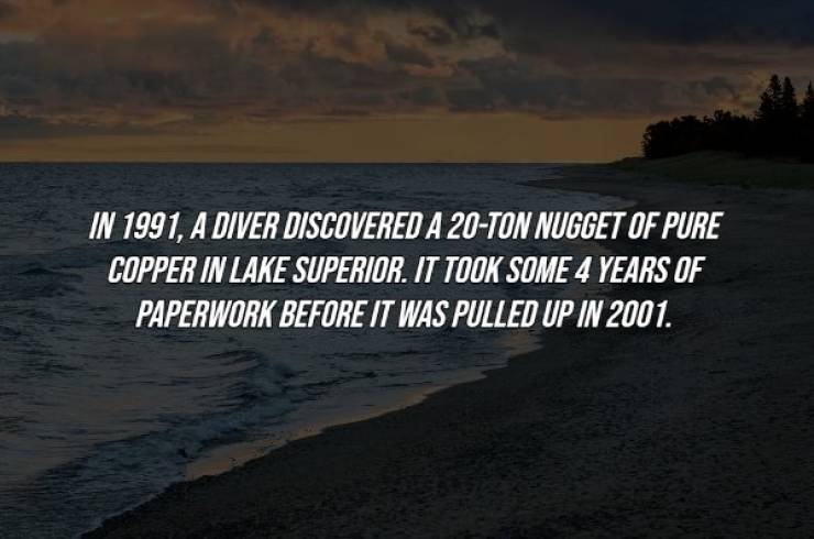 Random Facts Are Always Impressive!