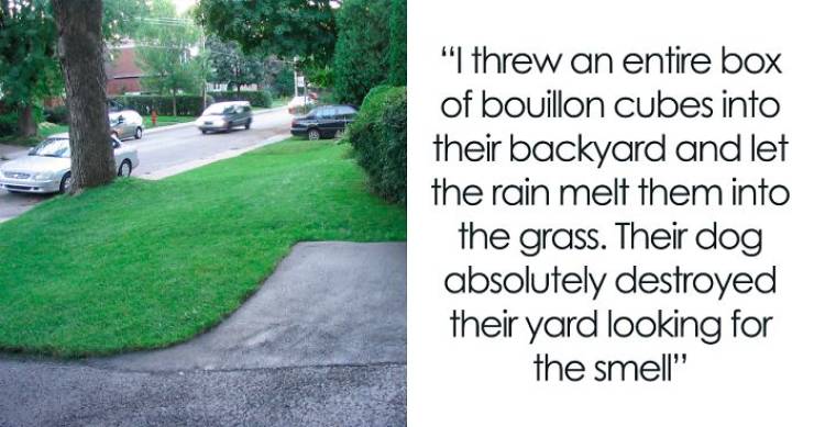 Pettiest Stories About Annoying Neighbors…