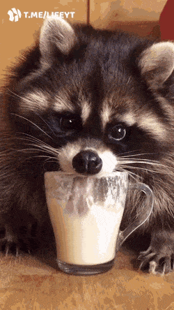 Daily Gifdump Daily Gifdump