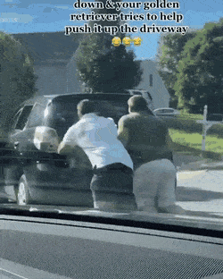 Daily Gifdump Daily Gifdump