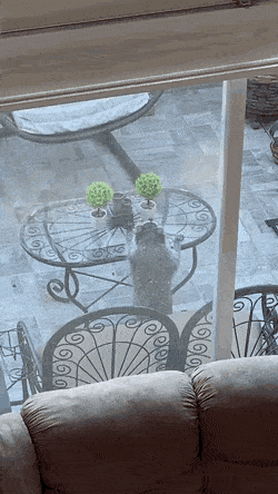 Daily Gifdump Daily Gifdump