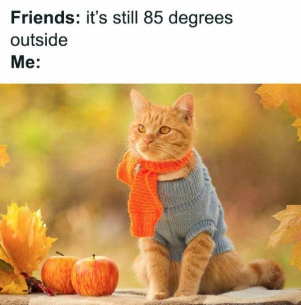 Autumn Is Close, And So Are These Memes!