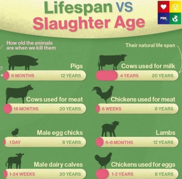 Random Knowledge! In Random Charts!