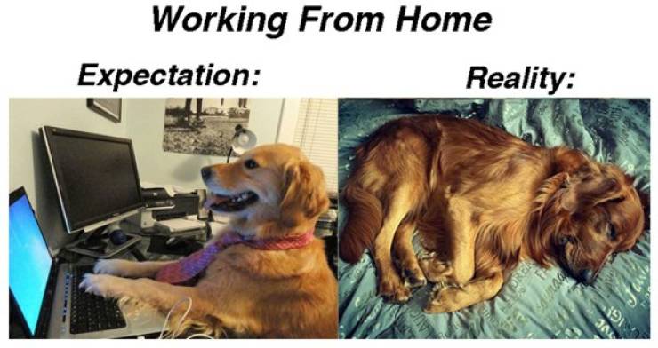 These Work From Home Memes Are Slacking As Well