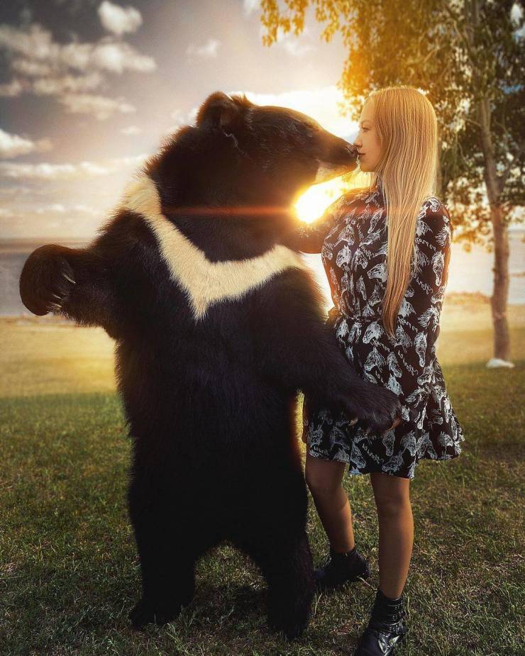 Nothing To See Here, Just A Pet Bear…