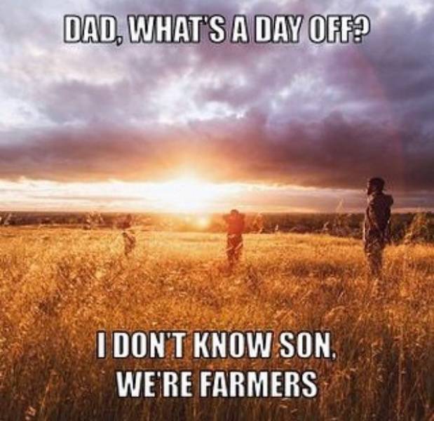 Oh Yeah, Country Memes!