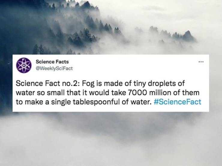 Science Facts Are Fascinating!