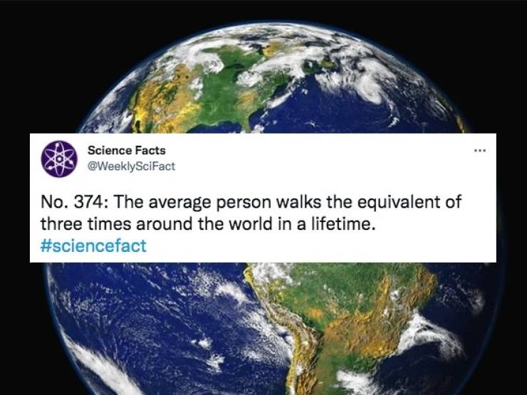 Science Facts Are Fascinating!