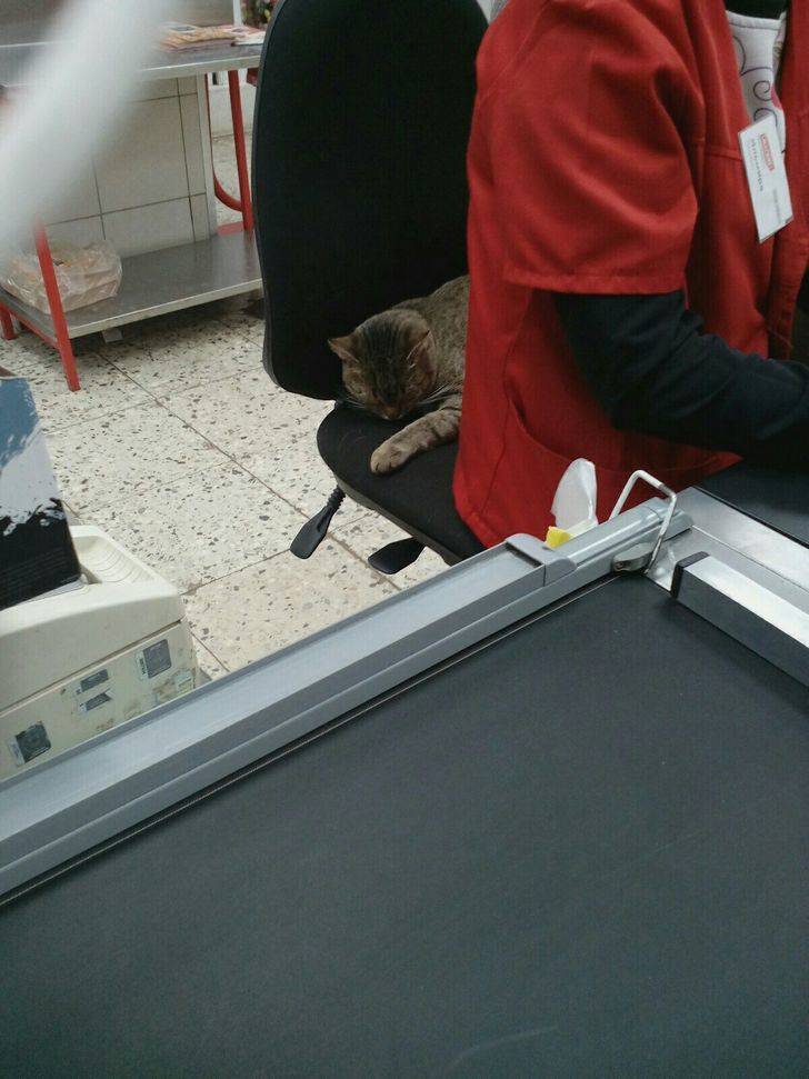 Supermarkets Always Have Something To Impress Us!