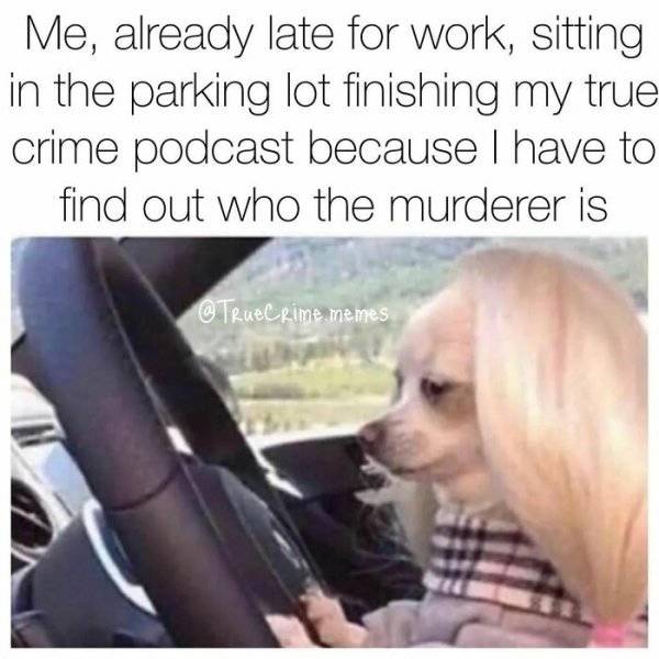 Criminally Funny Memes About True Crime