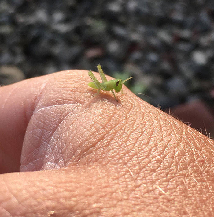 So Small, So Cute!