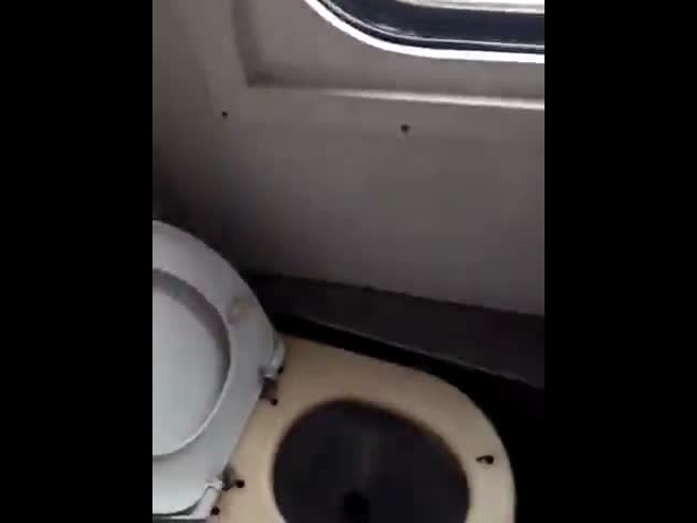 Toilet From Hell