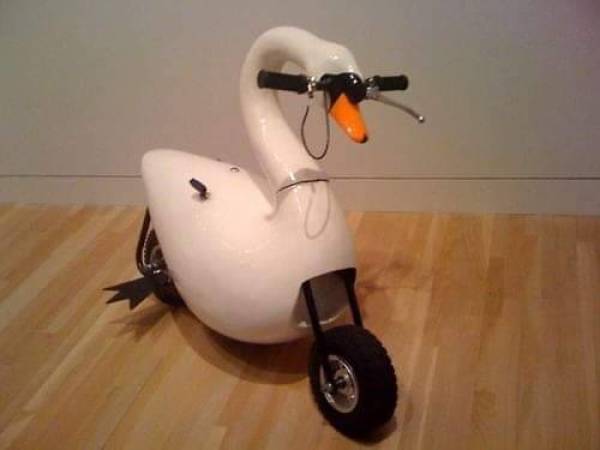 Morning Picdump Morning Picdump
