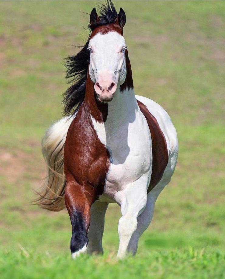 Morning Picdump Morning Picdump