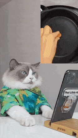 Daily Gifdump