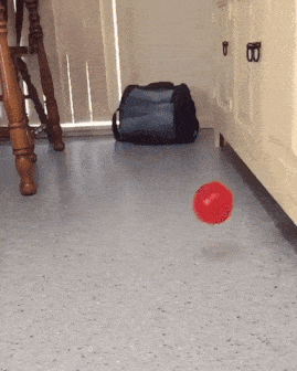 Daily Gifdump Daily Gifdump