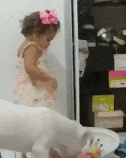 Morning Gifdump