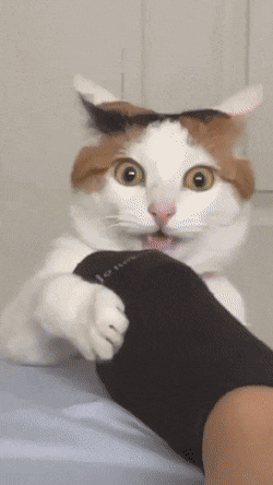 Daily Gifdump [WEEKEND EDITION]