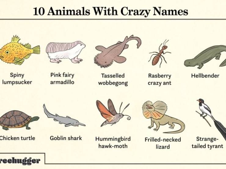 Charts Full Of Random Knowledge 25 PICS Izismile