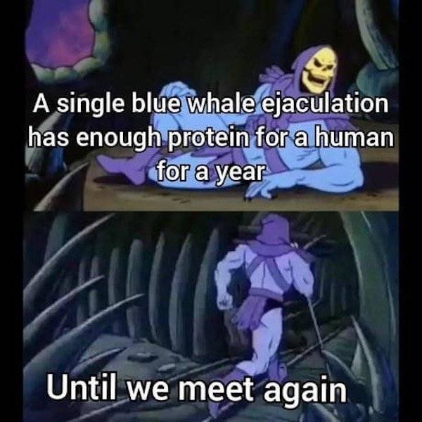 Skeletor Coming In With Some Very Disturbing Facts…