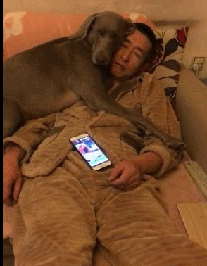Dads Who Didn’t Want Pets…