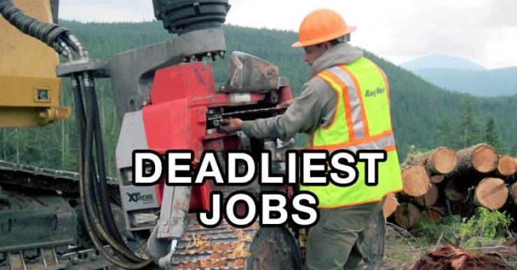 Top-20 Deadliest Jobs (At Least In The US)