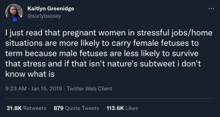 Pregnancy Hormones Produce Some Wild Memes!