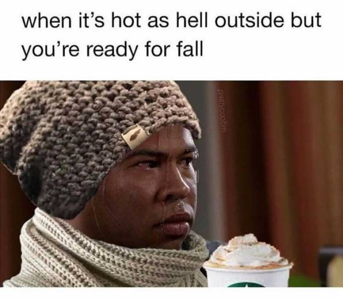 Fall! Fall! Fall! (And Memes)