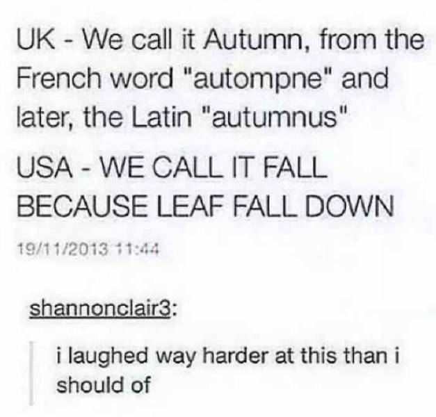 Fall! Fall! Fall! (And Memes)