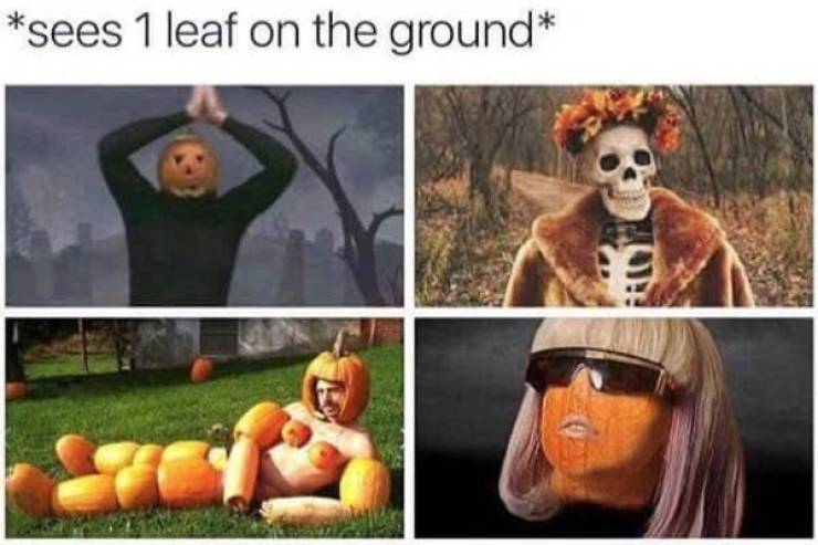 Fall! Fall! Fall! (And Memes)