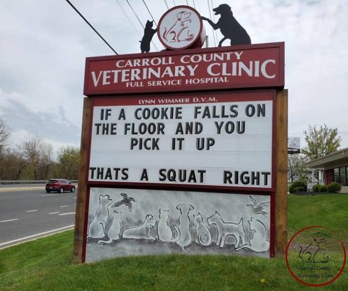 Hilarious Signs Posted By The Carroll County Veterinary Clinic