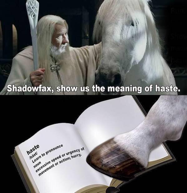 Fellowship Of “The Lord Of The Rings” Memes