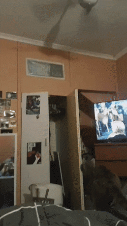 Daily Gifdump Daily Gifdump