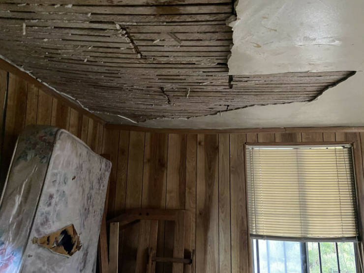 Nightmares Witnessed By Structural Inspectors