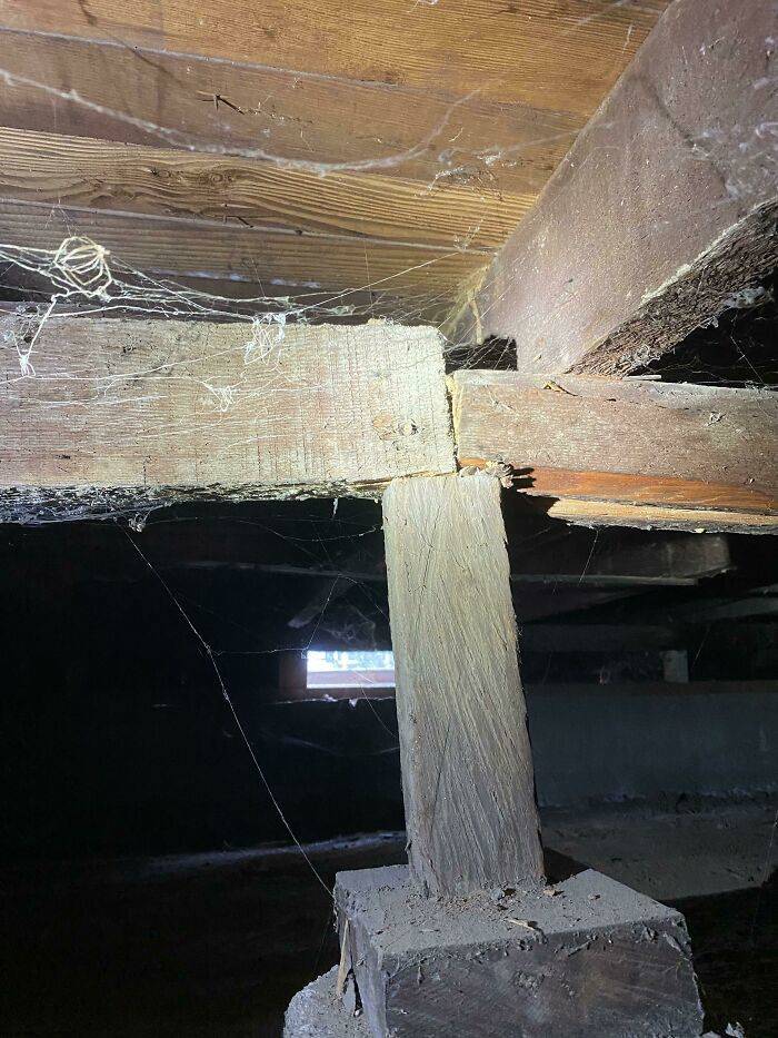 Nightmares Witnessed By Structural Inspectors