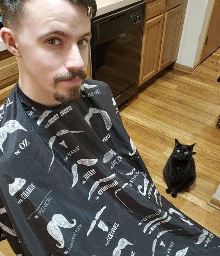 Men Who Were Helpless Against Their Girlfriends’ Cats