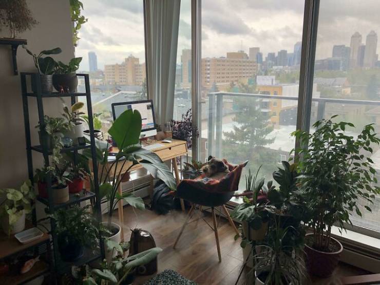 Men Are Sharing Their Cozy Living Places