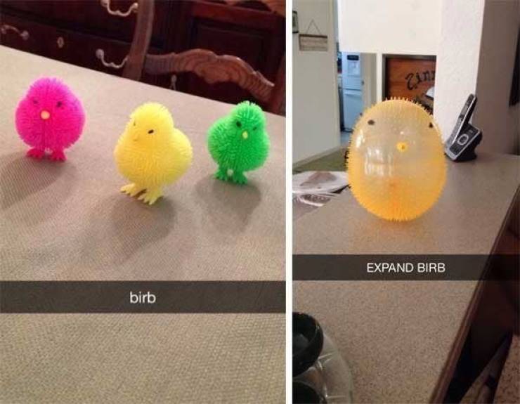 These Are Some Funny Snapchats!