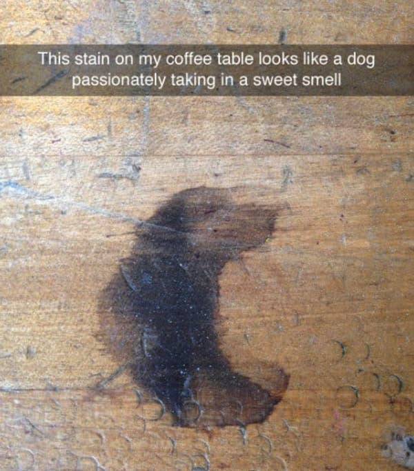 These Are Some Funny Snapchats!