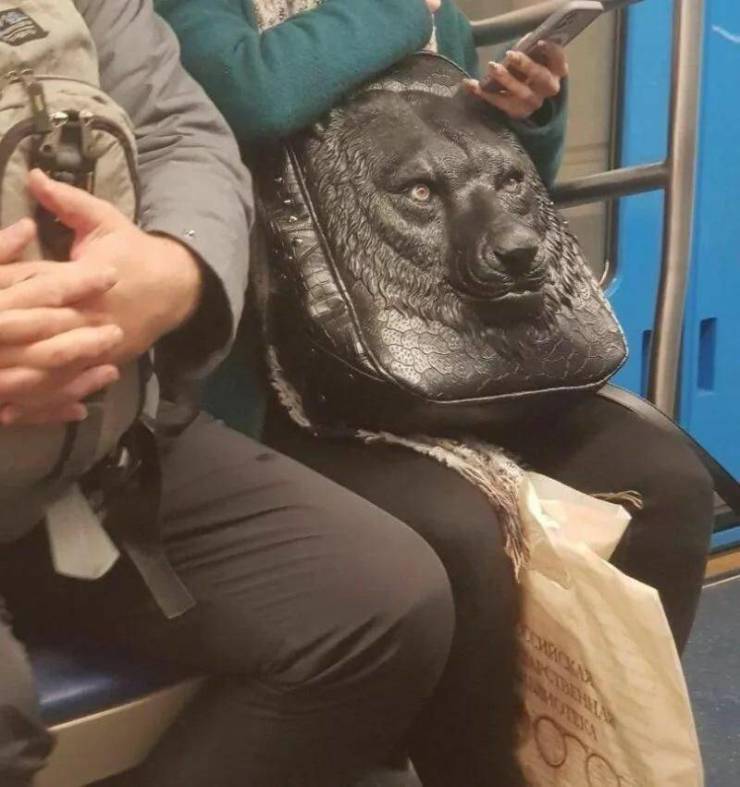 Daily Picdump