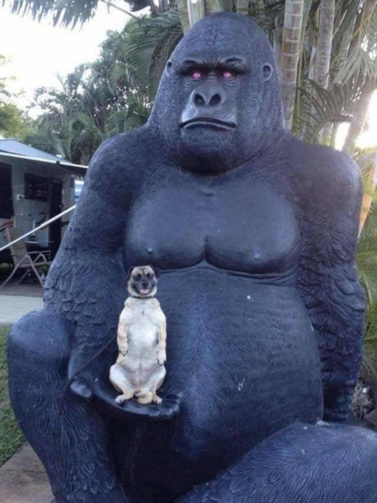 Daily Picdump