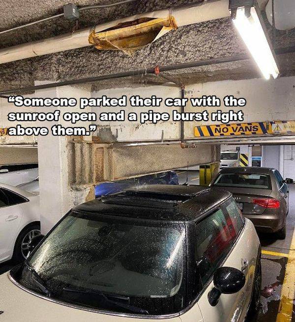 Daily Picdump