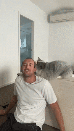 Daily Gifdump