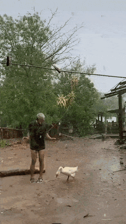 Morning Gifdump